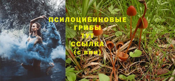 стафф Липки